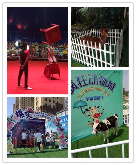 湖南衡陽市哪有租賃馬戲團(tuán)表演的萌寵