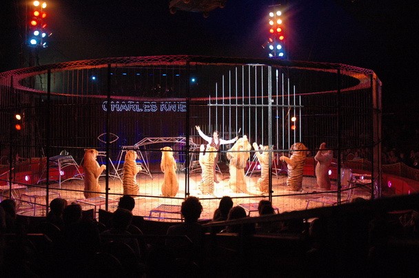 常年供應馬戲團雜技表演環球飛車雜技表演萌寵雜技租賃圖片_高清圖_細節圖