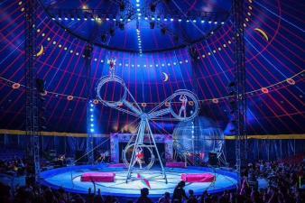 馬戲團(tuán)出租,環(huán)球飛車,夢幻飛輪,動物表演,雜技表演,雜技演出