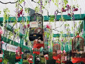 成功案例分享 租賃海獅展覽與馬戲團表演合作指南