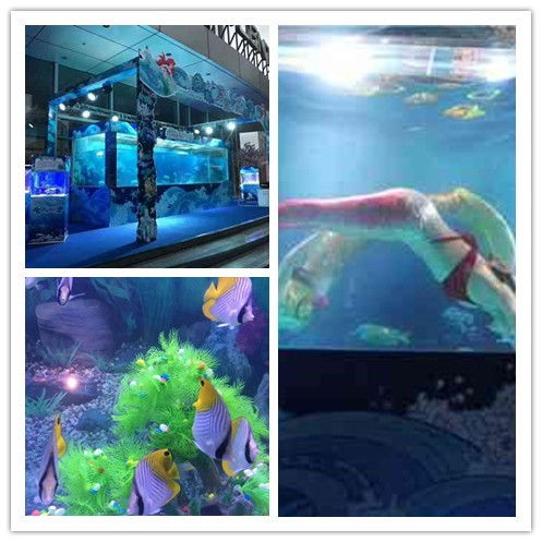 七臺河市美人魚表演與馬戲團租賃服務(wù)指南